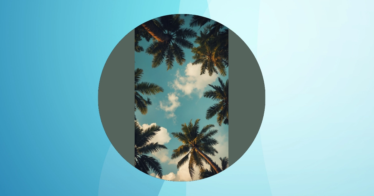 Nature Awaits: 09 Aesthetic Wallpaper Ideas for Every Device