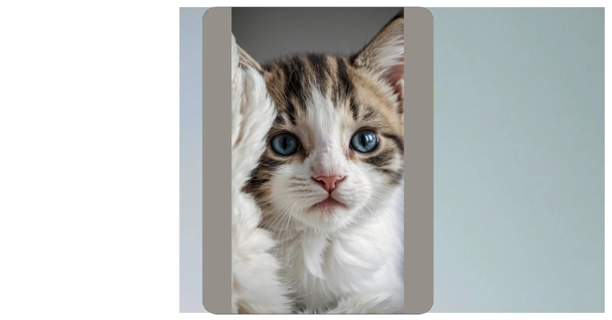 Purrfectly Adorable Kitten Wallpaper Ideas That Will Make You Smile