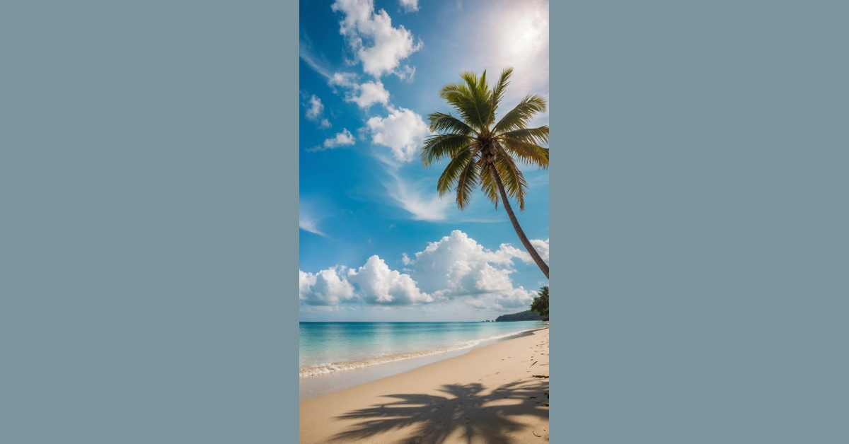 Surf’s Up! 7 Beach Wallpaper Ideas to Amp Up Your Aesthetic